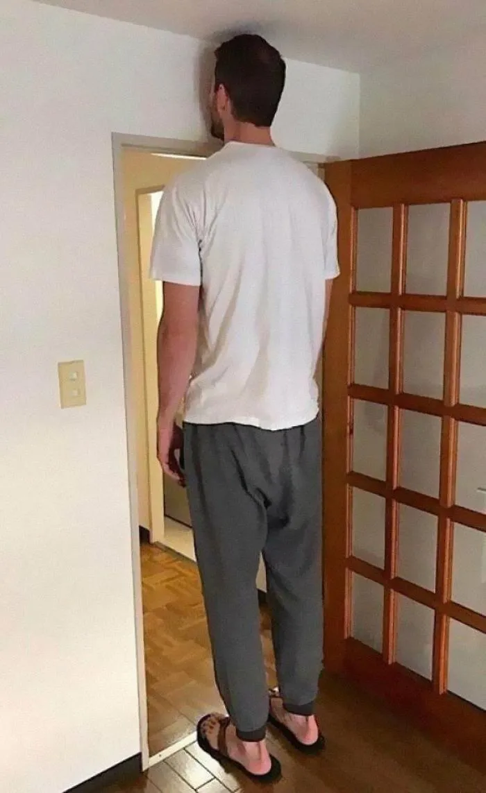 Brain.exe Has Stopped Working