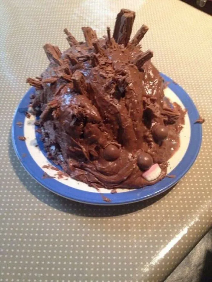 30 Times People Tried Their Hand At Making Hedgehog Cakes But Failed Miserably