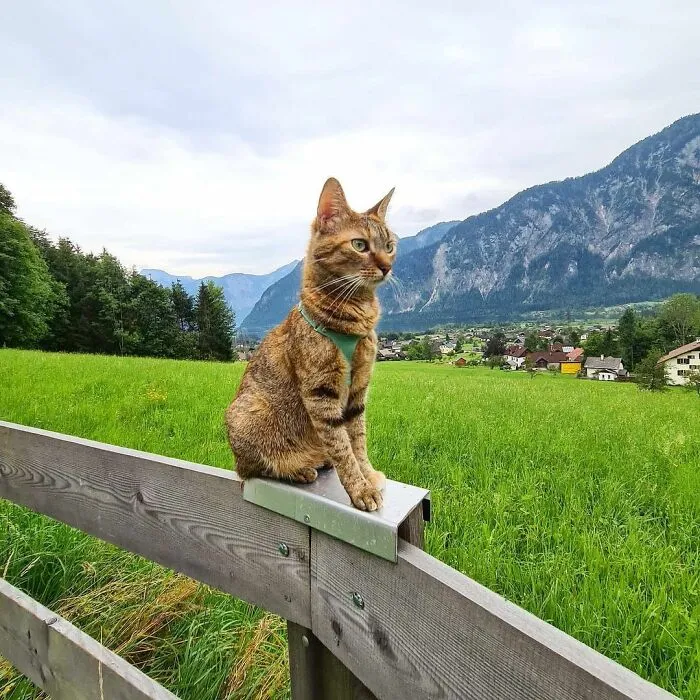 Hallstatt, Austria