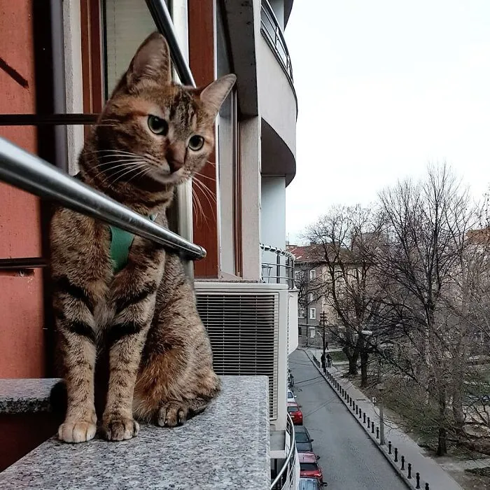 Plovdiv, Bulgaria