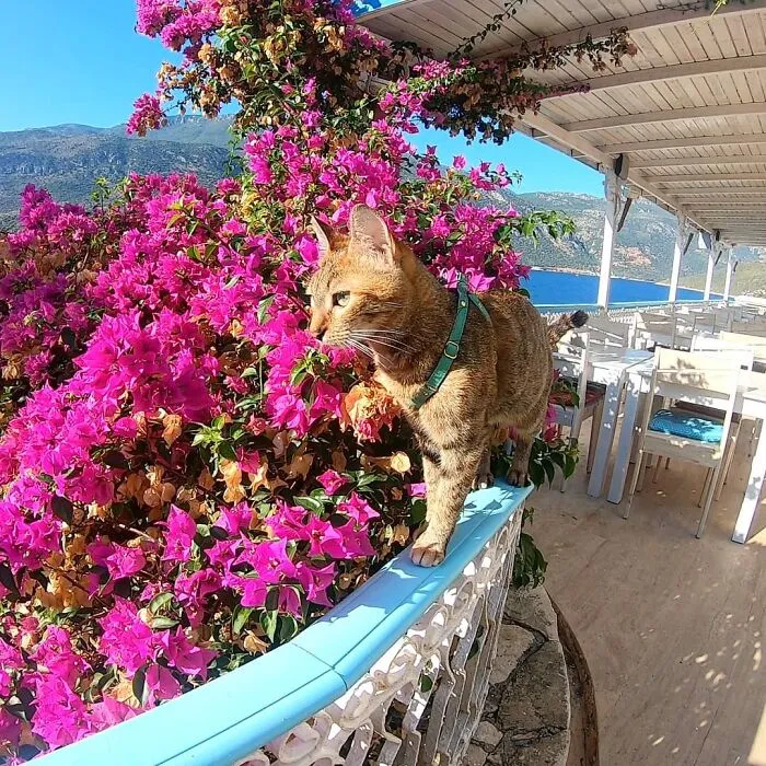Antalya, Turkey