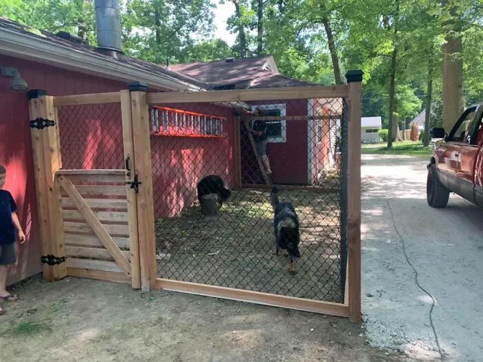 31 Dog Owners Show Off Some Of The Coolest Things They Did For Their Dogs In The “I Did It For My Dog” Challenge On Facebook