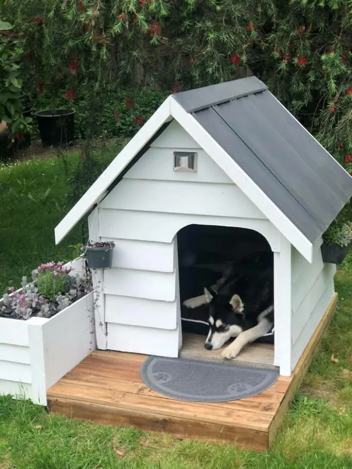 31 Dog Owners Show Off Some Of The Coolest Things They Did For Their Dogs In The “I Did It For My Dog” Challenge On Facebook