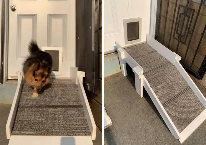 31 Dog Owners Show Off Some Of The Coolest Things They Did For Their Dogs In The “I Did It For My Dog” Challenge On Facebook
