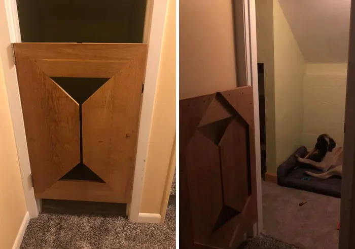 31 Dog Owners Show Off Some Of The Coolest Things They Did For Their Dogs In The “I Did It For My Dog” Challenge On Facebook