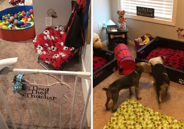 31 Dog Owners Show Off Some Of The Coolest Things They Did For Their Dogs In The “I Did It For My Dog” Challenge On Facebook