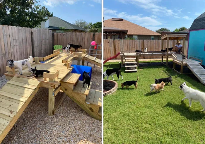 31 Dog Owners Show Off Some Of The Coolest Things They Did For Their Dogs In The “I Did It For My Dog” Challenge On Facebook
