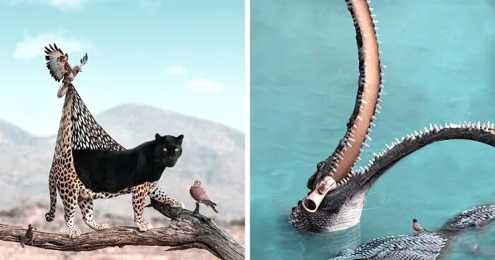 Así es como imagino el comportamiento de los animales cuando no miramos (30 imágenes)