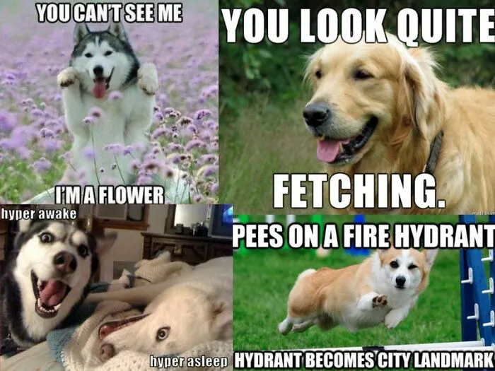 So True