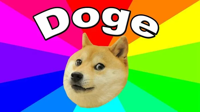 Doge