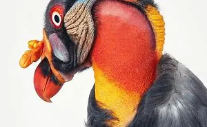 25 Portraits Of Rare And Endangered Birds That Look Simply Stunning