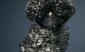 25 Portraits Of Rare And Endangered Birds That Look Simply Stunning
