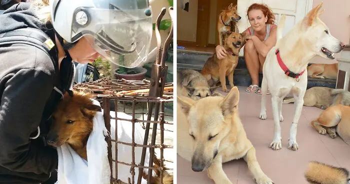 Vietnam's First Farm Sanctuary And Animal Rescue Helps All Kinds Of Animals Who Are Suffering From Cruelty And Neglect