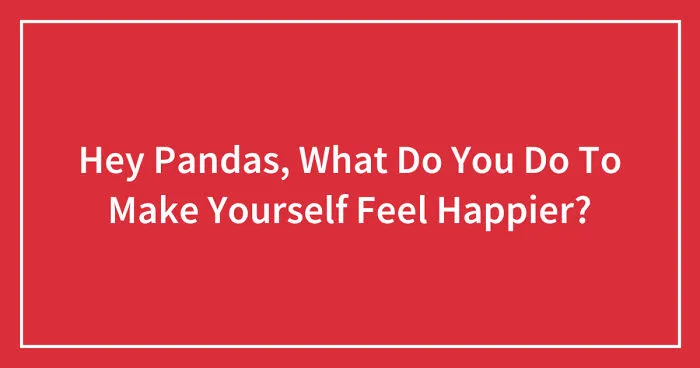 Hey Pandas, What Do You Do To Make Yourself Feel Happier? (Closed)
