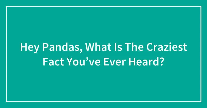 Hey Pandas, What Is The Craziest Fact You’ve Ever Heard? (Closed)