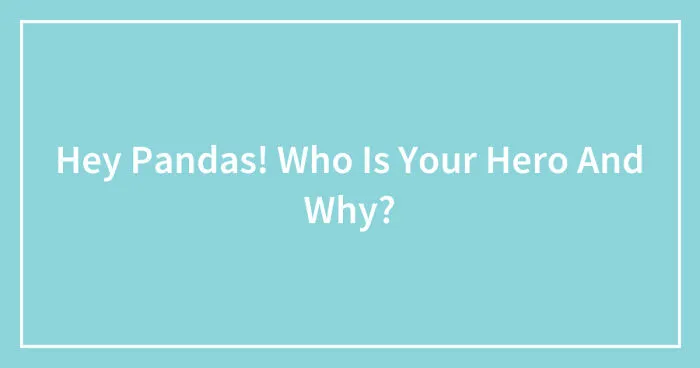 Hey Pandas! Who Is Your Hero And Why? (Closed)