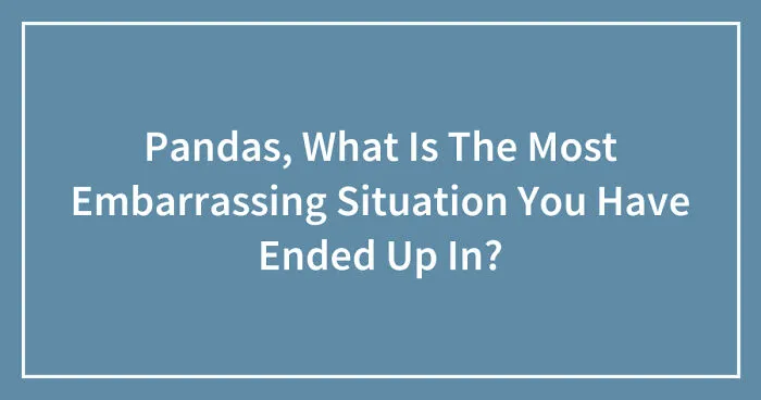 Pandas, What Is The Most Embarrassing Situation You Have Ended Up In? (Closed)