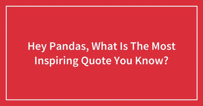 Hey Pandas, What Is The Most Inspiring Quote You Know? (Closed)