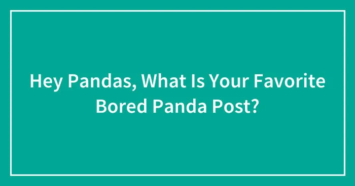 Hey Pandas, What Is Your Favorite Bored Panda Post? (Closed)