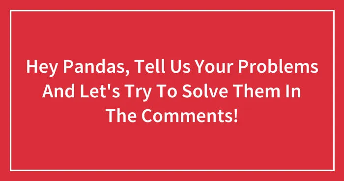 Hey Pandas, Tell Us Your Problems And Let's Try To Solve Them In The Comments! (Closed)