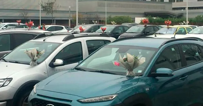 This Florist Places Hundreds Of Bouquets On Caregivers' Cars In A Hospital Parking Lot After Being Forced To Throw Away Unsold Flowers