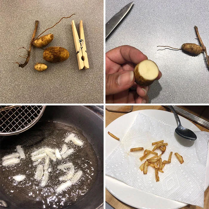 He intentado cultivar patatas. Tras 10 semanas he conseguido esto