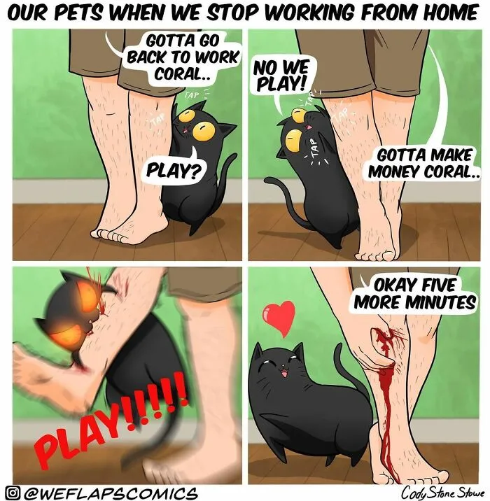 35 Comics That Show What Living With A Cat Is Really Like (New Pics)