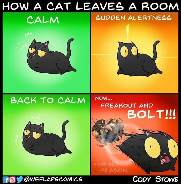 35 Comics That Show What Living With A Cat Is Really Like (New Pics)