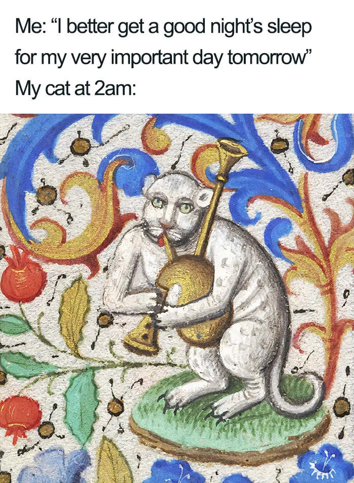 Cats Are Assholes