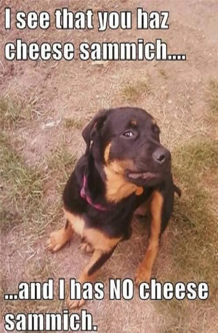Are You Going To Share..?