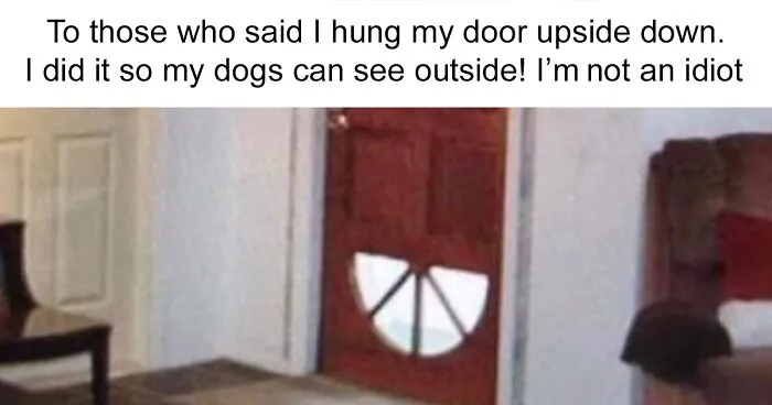 130 Of The Funniest Dog Memes Ever