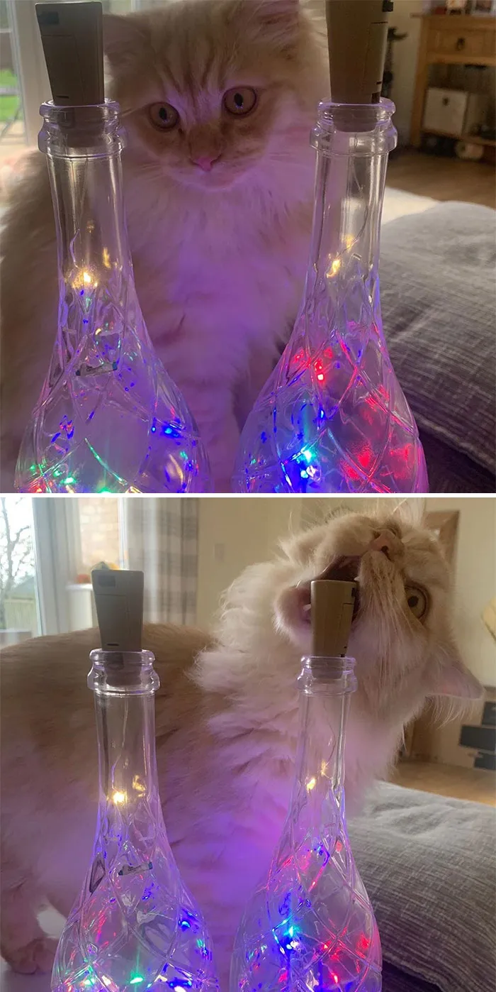 People Are Sharing Honest Instagram Vs. Reality Comparisons (30 Pics)