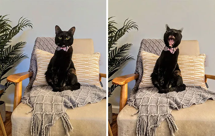 People Are Sharing Honest Instagram Vs. Reality Comparisons (30 Pics)