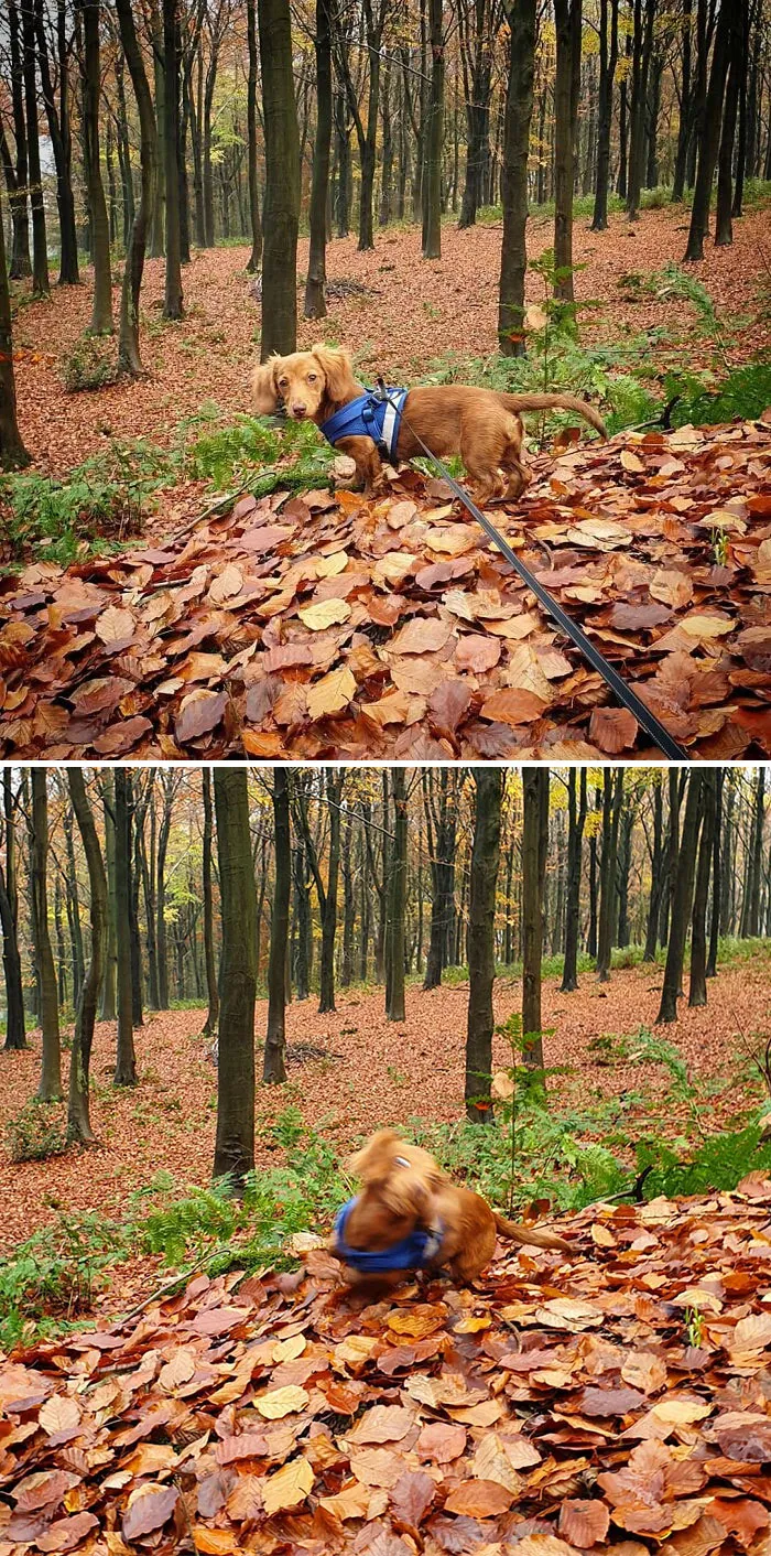People Are Sharing Honest Instagram Vs. Reality Comparisons (30 Pics)
