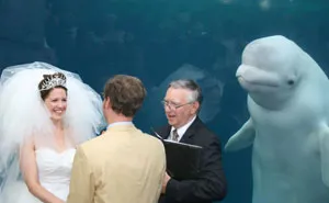 50 Funny Times The Background Of Photos Was Better Than The Foreground (New Pics)