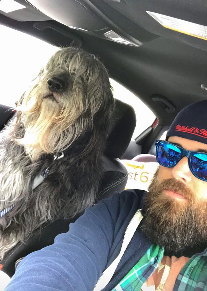Este es Ben, tiene barba y el tamaño de un humano. Nos miran raro cuando vamos en coche
