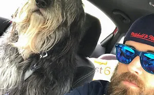50 Dogs Who Don’t Understand How BIG They Are