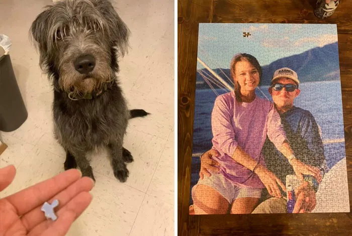 The 'Guilty Dog' Challenge Got People Competing About Whose Dog Is The Naughtiest (30 Pics)