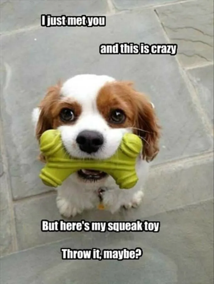 I Love This One, So Cute! :)