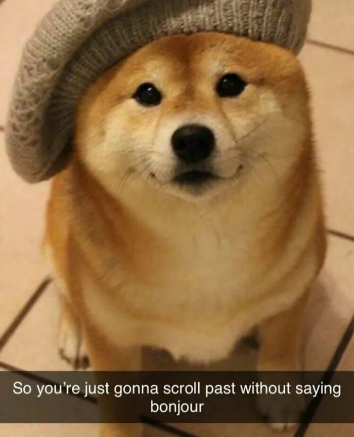 Bonjour