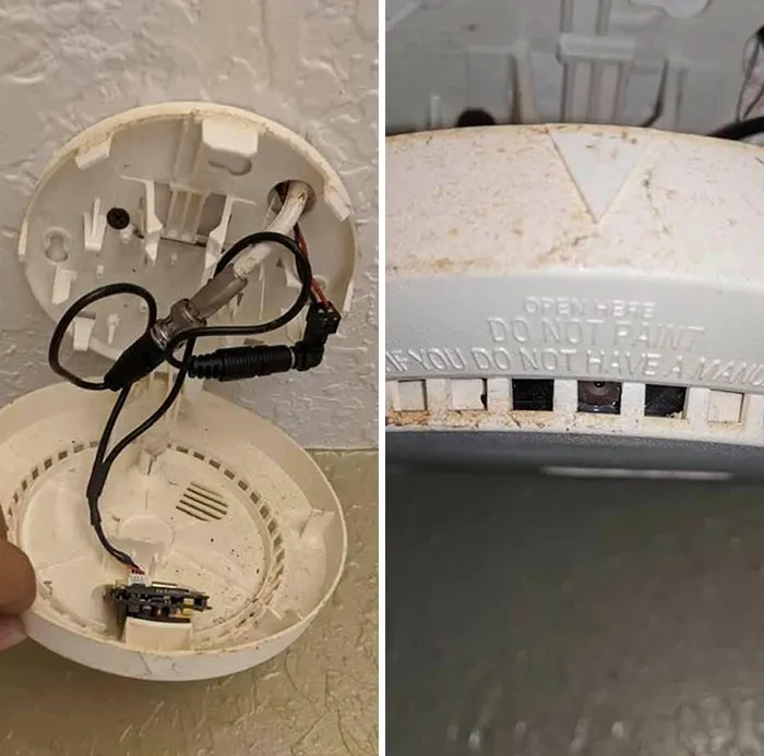 Cuidado cuando te metas en un Airbnb
