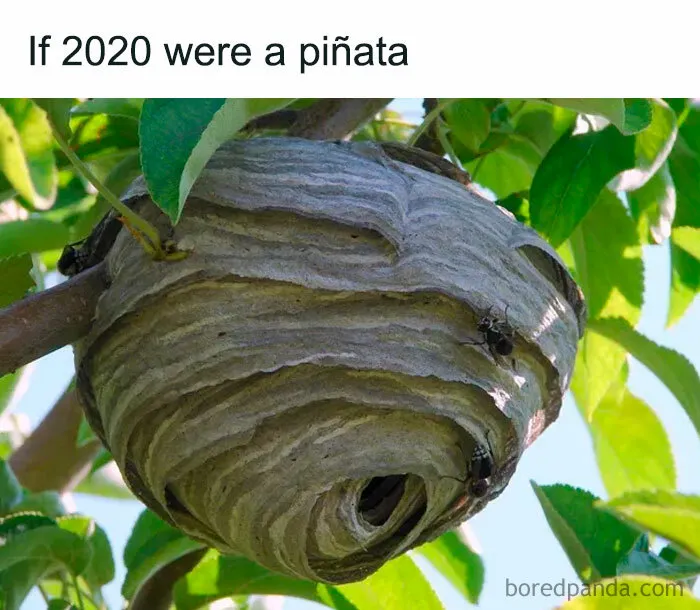 People Are Posting "2020 Versions" Of Things, And Here Are The Best Ones