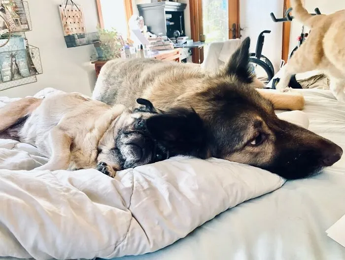 These Two