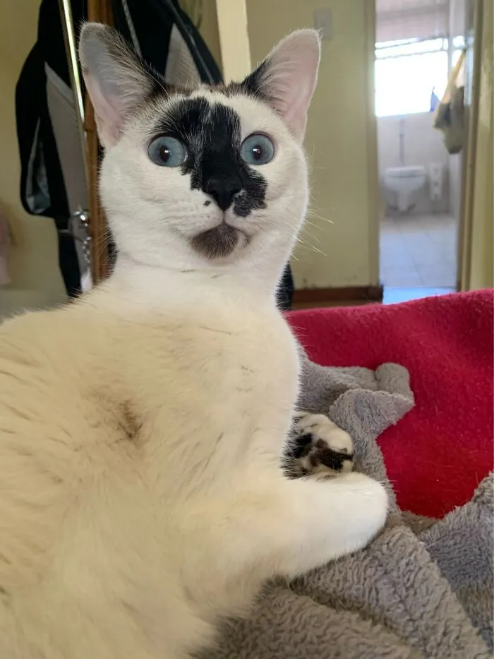 She’s Seen Some Things