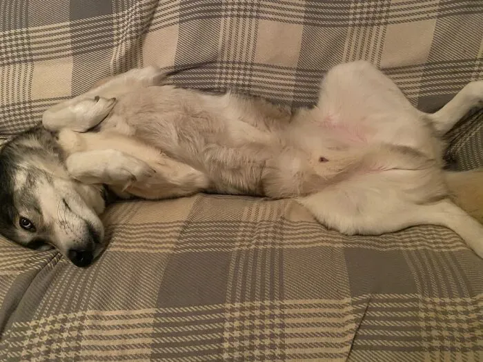 Draw Me Like One Of Your French Girls!