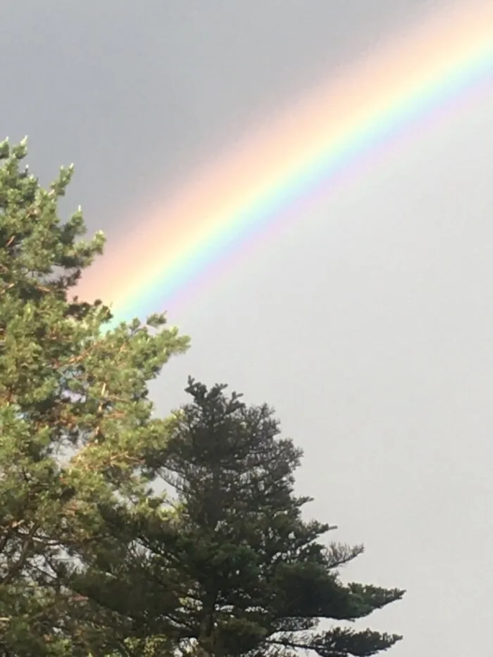 Rainbow