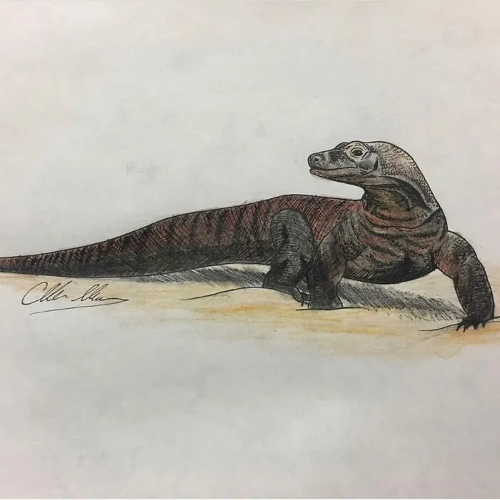 Procrastinated Studying For Uni Finals By Drawing Some Animals