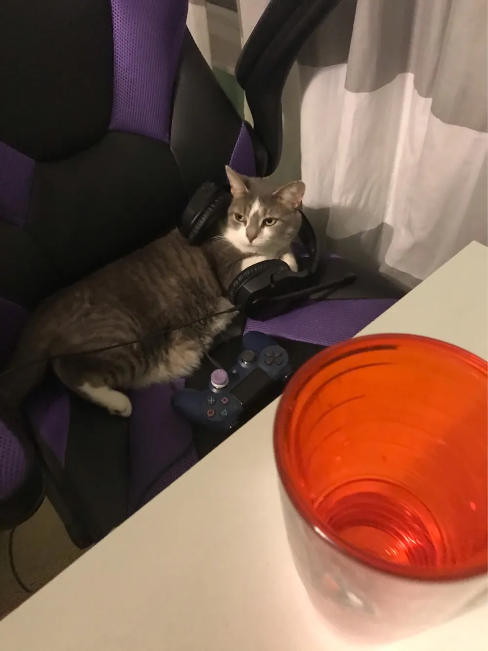 This Is What I Walk Into When I’m About To Play A Game