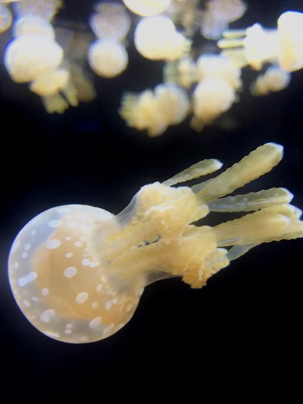 Photography (27 Pics)
