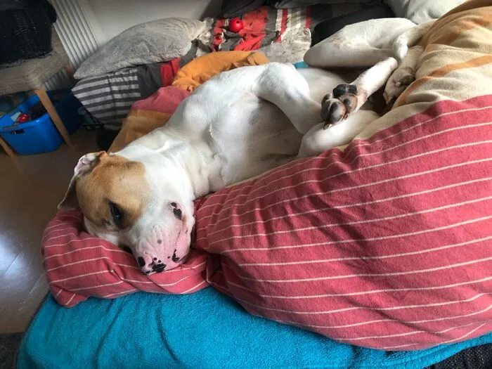 Just Chillin’